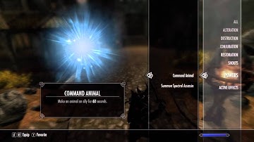 The Elder Scrolls V: Skyrim - Level 81 Character