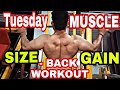 Completemy back workout for mass size gainat devraj fitness club mmu collage