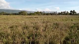 Mai Mahiu plots for sale