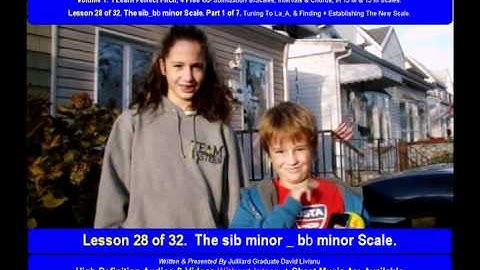 Part 1a. LESSON 28 of 32, The sib_bb minor scale. THEORY