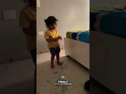 Whole Family With Two Small Kids Sleeping With 2 Big Gaint Rottweilers. #shorts #rottweiler #viral