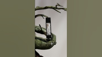 Day 01 Modelling the perfume Bottle #blender #3d #animation