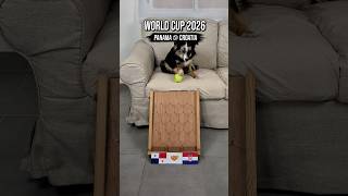 World Cup 2026 june 24 predictions (group K, L & B) #worldcup #football #dog