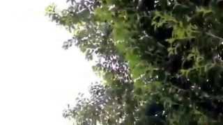 Words Cant Bring Me Down