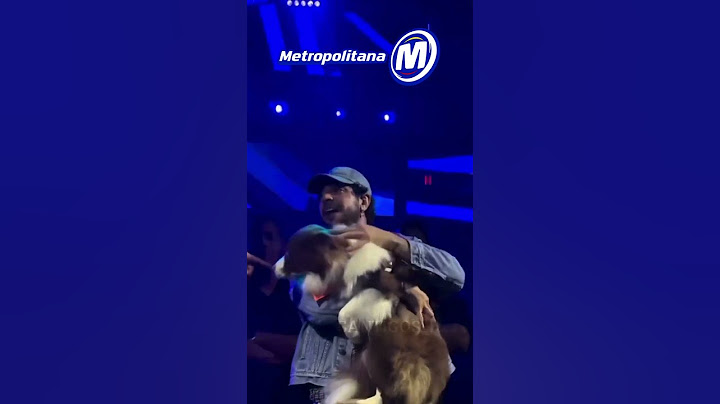 Nattan tenta "raptar" cachorro de Henrique no palco e é impedido por seguranças: "Eu avisei"