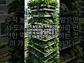 텃밭 없는 도시인 주목! 집에서 쑥쑥 자라는 마법의 채소밭!
