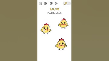 BRAIN OUT LEVEL 11-15