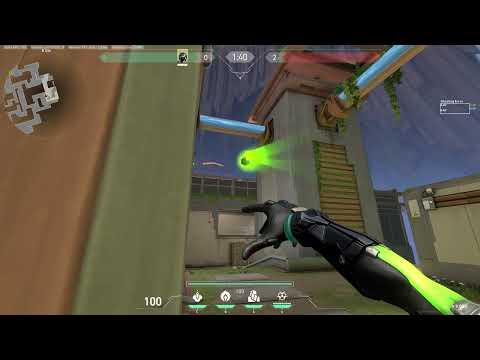 Viper B Nest