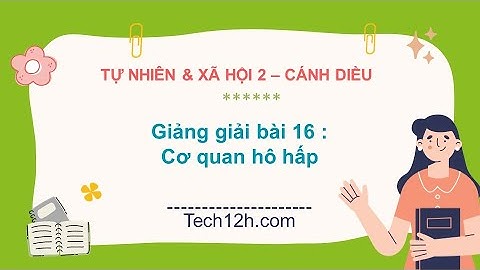 Giảng bài 16: Cơ quan hô hấp | Bài giảng tự nhiên và xã hội 2 cánh diều