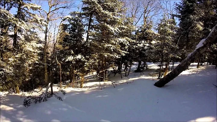 Mad River Glen