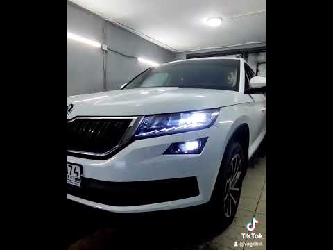 Skoda Kodiaq замена