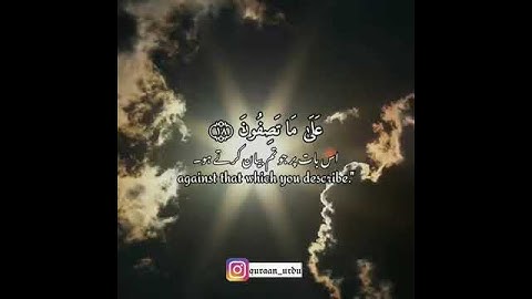 سورة يوسف: ١٨|Yusuf: 18|شريف مصطفى|Sherif Mostafa|قرآن اردو ترجمہ| Quran with Urdu Translation