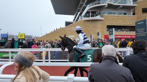 Cheltenham November Meeting: An Honest Day Punting - BWR club day 🐎