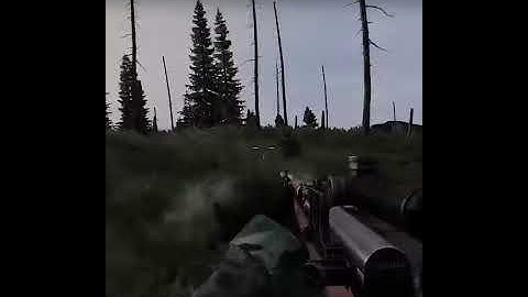 Our First Encounter With A Bear On DayZ #Shorts