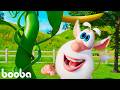 Booba 😀ブーバ ベストエピソード All best episodes 🔴 LIVE 🔴⭐Super Toons TV アニメ