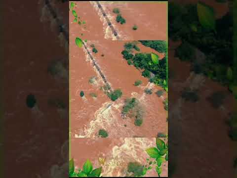 Imagens do La Voz de Cataratas mostram parte da passarela levada pela correnteza, em outubro de 2023