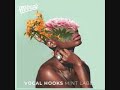 91Vocals - Vocal Hooks: Mint Label - Take It You Want It (Alt Wet)