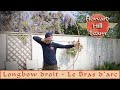 Le bras darc  longbow droit  longbow  tir  nature  instinctif  intuitif  3d  marquis