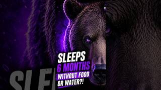 It Shouldn't Be Alive #ImpossibleAnimals #WildlifeMystery #AnimalFacts #NatureIsCrazy #Shorts