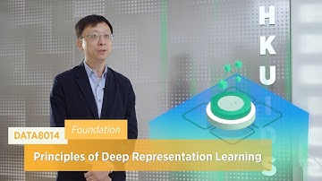 DATA8014 - Principles of Deep Representation Learning - HKU IDS RPg course
