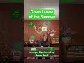 ••🎼🎶🎵«Green Leaves🌿of the Summer»🎵🎶••@annabach2958🎹 #piano #arrangement #masterpiece 🎹••
