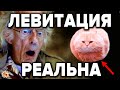 УДАЛЁННЫЙ РОЛИК. 12 ДОКАЗАННЫХ СЛУЧАЕВ ЛЕВИТАЦИИ