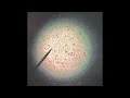 Dicot and Monocot Stems Under a Microscope - MicroWonder Series S2E6 | Nano Labs 🧪