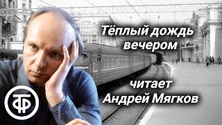 Андрей Мягков 