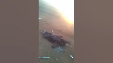 حادث اليوم المفجع على الطريق الصحراوي 