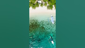 SMS Broadcast Software Free|Telegram:my911sms