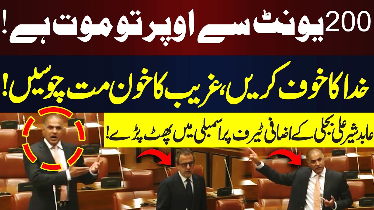 Abid Sher Ali Lashes Out in Senate on Overbilling  | Hum News | Pakistan