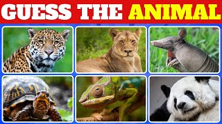 Animal Kingdom Challenge: Can You Guess the 50 Creatures?