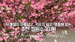 10 garden trees that are healthy, 4-season beautiful and easy to maintain 🌳 by 양평서정이네 garden life 174,719 views 1 month ago 14 minutes, 59 seconds
