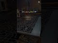 Untitled video