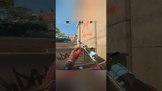 Grayscale Introduction | CS2 Montage #cs2 #cs2montage #cs2highlights #cs2clips #cs2edit