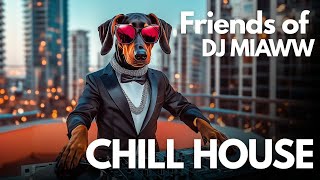 Download Lagu Friends of DJ Miaww – Jax The DJ Mix Set Rooftop Sunset Grooves 🌆🐾 | Chill House From the Sky MP3 Download Lagu Friends of DJ Miaww – Jax The DJ Mix Set Rooftop Sunset Grooves 🌆🐾 | Chill House From the Sky MP3