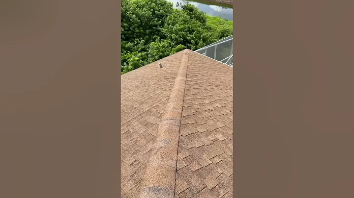 Isel Suarez Roof
