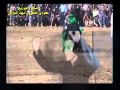 الرادود حسن محسن الاسدي لطميات محرم 2016 تخبل mp3