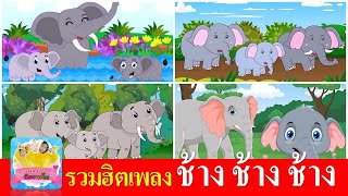 เพลง ช้าง ช้าง ช้าง น้องเคยเห็นช้างหรือเปล่า | รวมฮิตช้าง 4 เวอร์ชั่น ฟังกันเพลินๆเลยจ้า