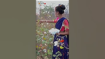 𝐀𝐝𝐢𝐰𝐚𝐬𝐢 𝐓𝐢𝐦𝐥𝐢 𝐒𝐭𝐚𝐭𝐮𝐬 / 𝐃𝐣 𝐑𝐞𝐦𝐢𝐱 𝐌𝐏 𝐓𝐢𝐦𝐥𝐢 𝐒𝐭𝐚𝐭𝐮𝐬 𝟐𝟎𝟐𝟑 | #viral #youtubeshorts #shorts #short