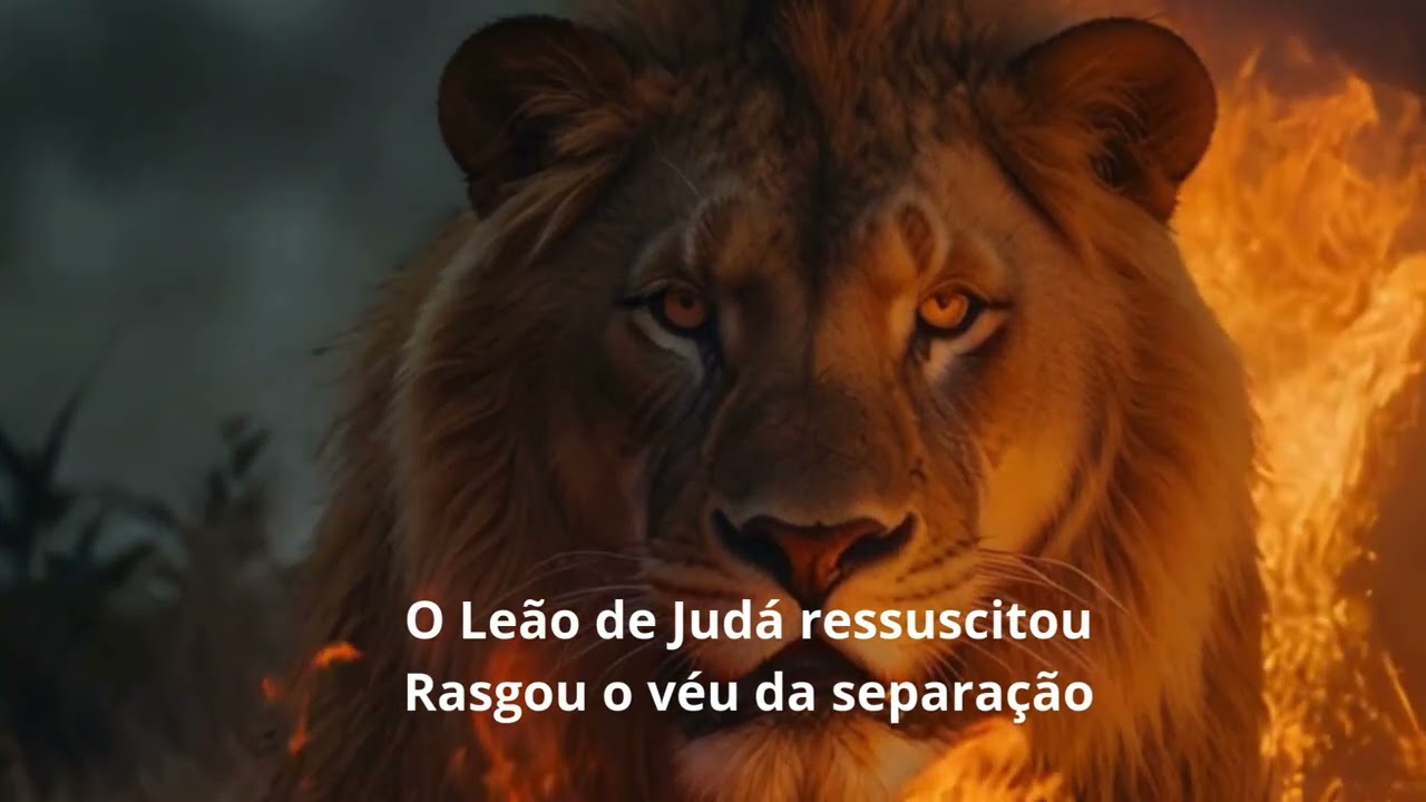 O Leão de Judá Ressuscitou
