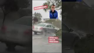 Downed trees due to high winds, hard rain, and power outages are being seen. #Burlingame #California