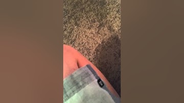 How to record iOS 8.4 screen in HD!