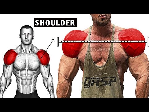 How to Build bigger shoulders | Best 6 Exercises For Shoulder - YouTube