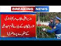 CM Maryam Nawaz Pays Tribute to Azerbaijan’s Founder Haider Ali - 24 News HD