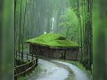 Clear birds🐦and relax rain🌧️ with sweet music🎶 for deep sleeping #thundersounds #rainoundforsleep