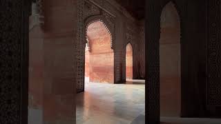 Ceilings of Mughal architecture🫶. #aesthetic #fatehpursikri #bulanddarwaza #monuments #india