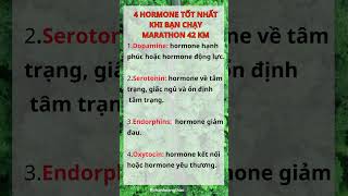 4 hormone tốt nhất khi bạn chạy marathon 42 km shorts phanhoangthao