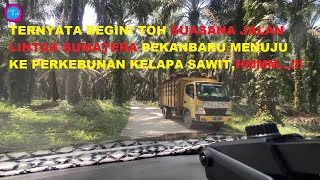 ROADTRIP | PEKANBARU KOTA - PERKEBUNAN KELAPA SAWIT | LINTAS SUMATERA