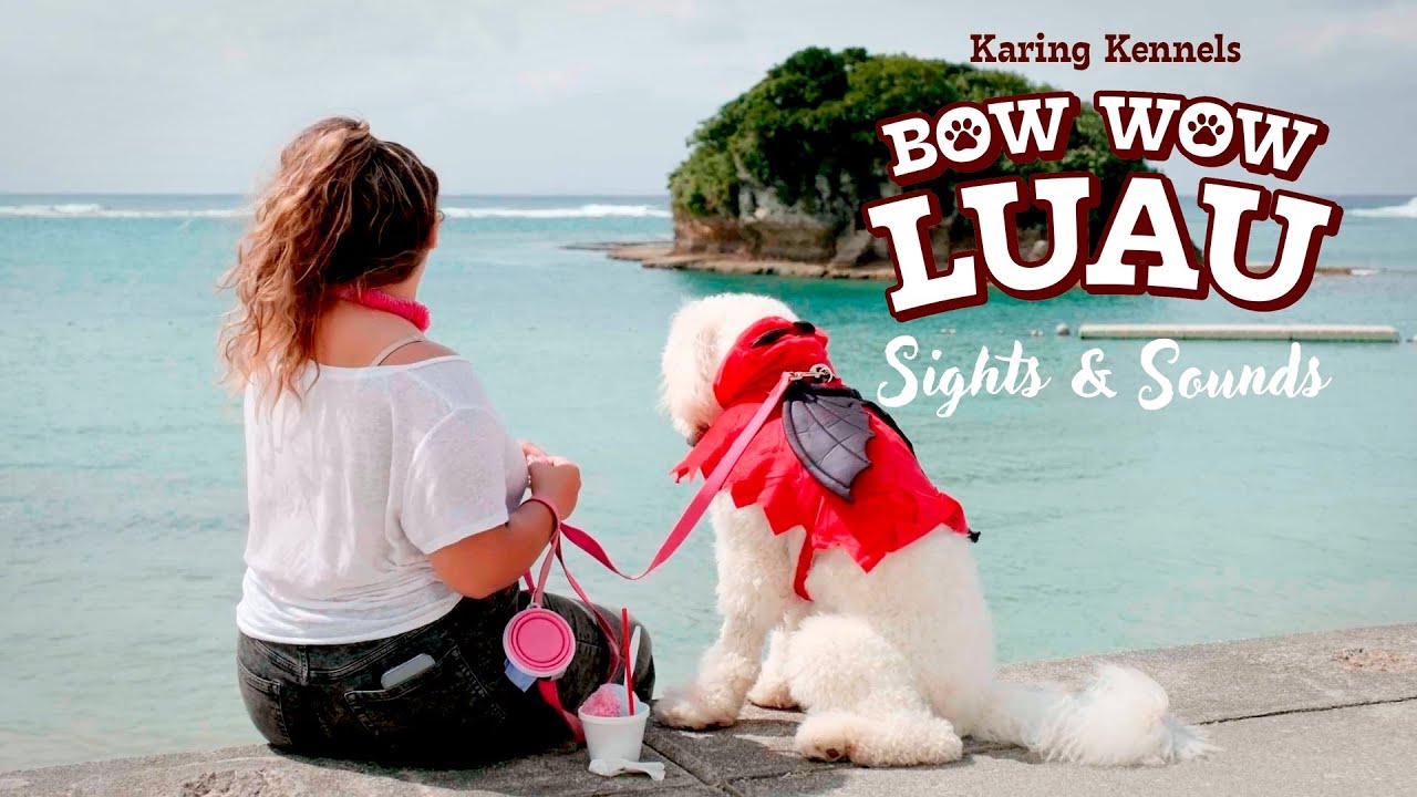 Karing Kennels - Bow Wow Luau 2023 - Sights &amp; Sounds - YouTube